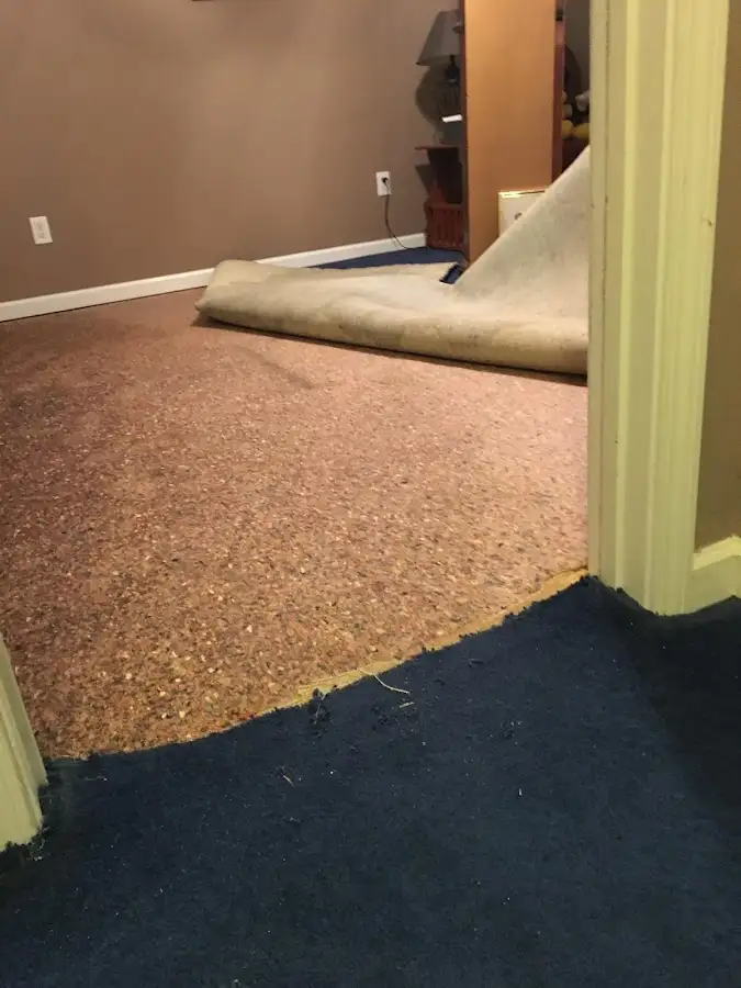 Carpet pad removal revealing water damage during Drying & Dehumidification in Brockton